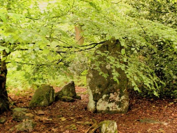 Hunts Hill Stone